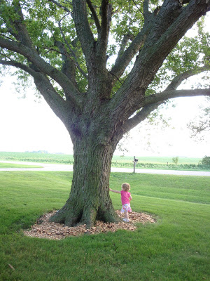 Oh Tree… How Do I Love Thee (says Elayna)…